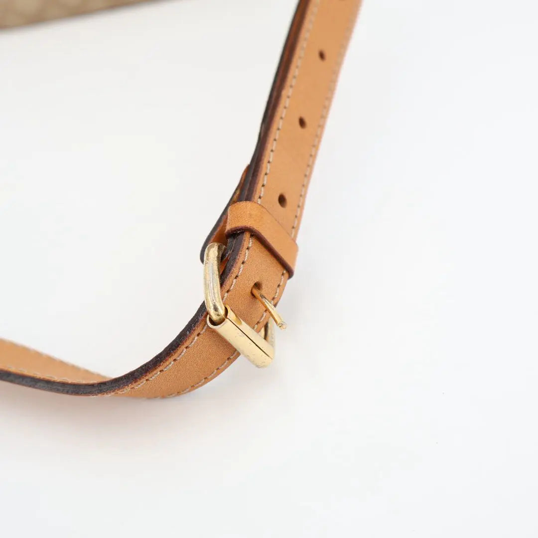 セリーヌ CELINE マカダム ブラゾン トリオンフ 柄 メダル コイン モチーフ 金具 レザー ショルダーバッグ